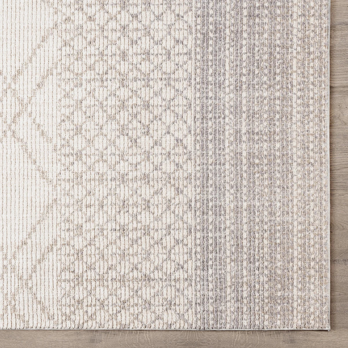 NEW - Oraya Area Rug, Ajene 9X13 - Retail $469
