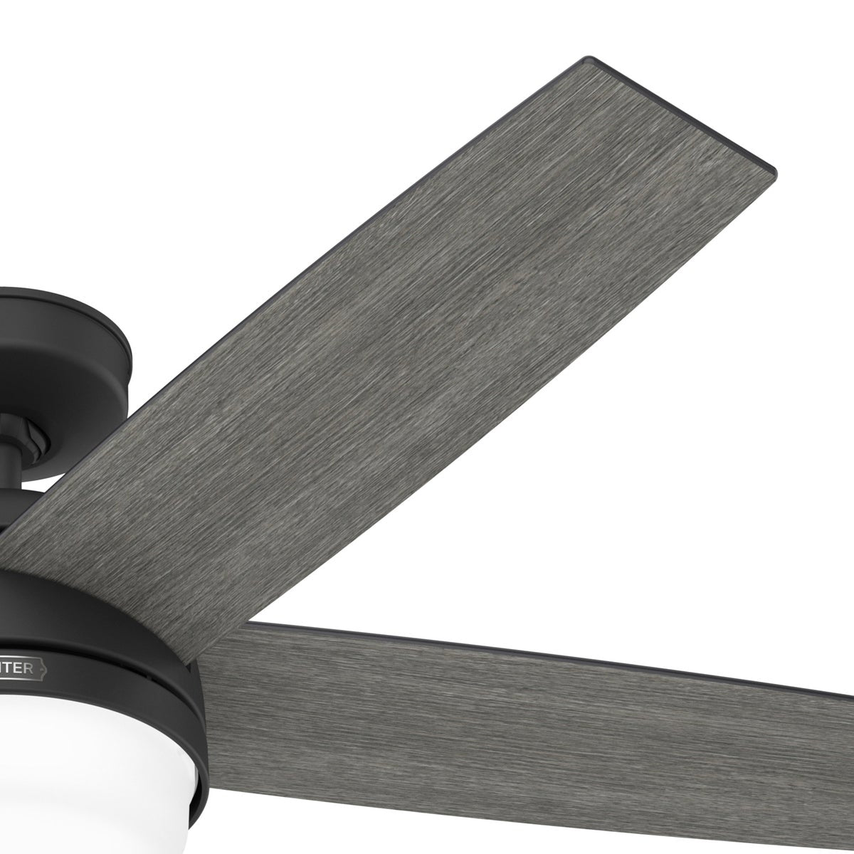Hunter Asheville 52” Indoor/Outdoor Ceiling Fan