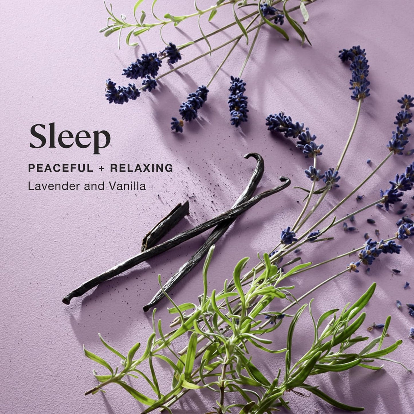 Sprig by Kohler Sleep Aromatherapy Candle with Lavender and Vanilla, 100% Natural Soy-Coconut Wax, 8 oz
