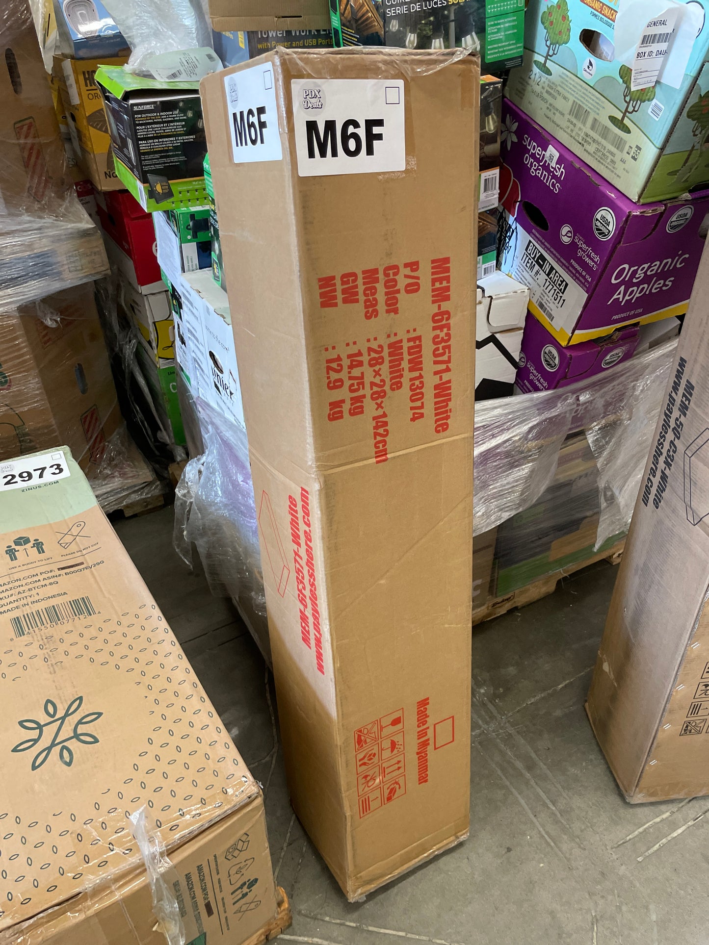 M6F