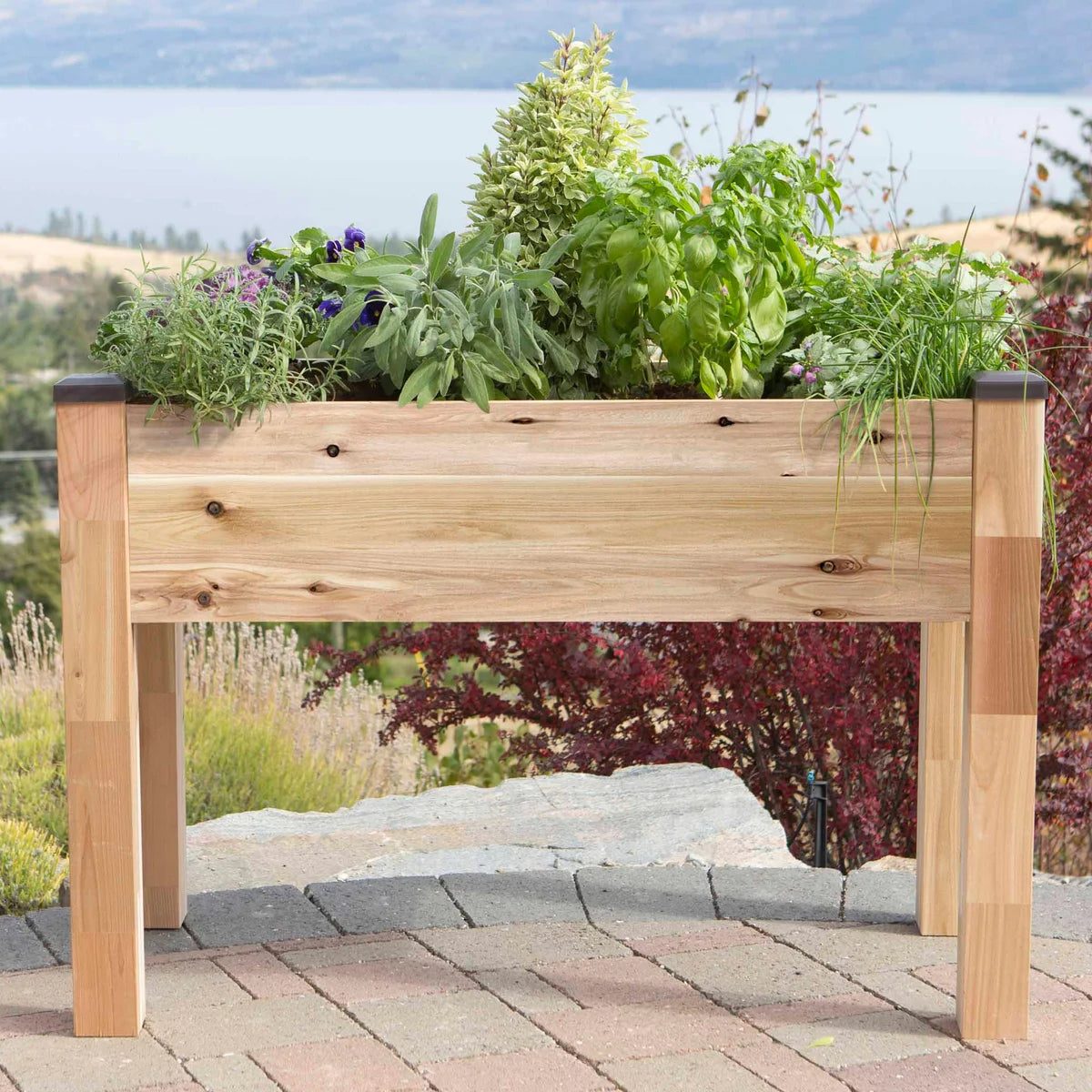 NEW - CedarCraft Self-Watering Elevated Spruce Planter - Retail $179