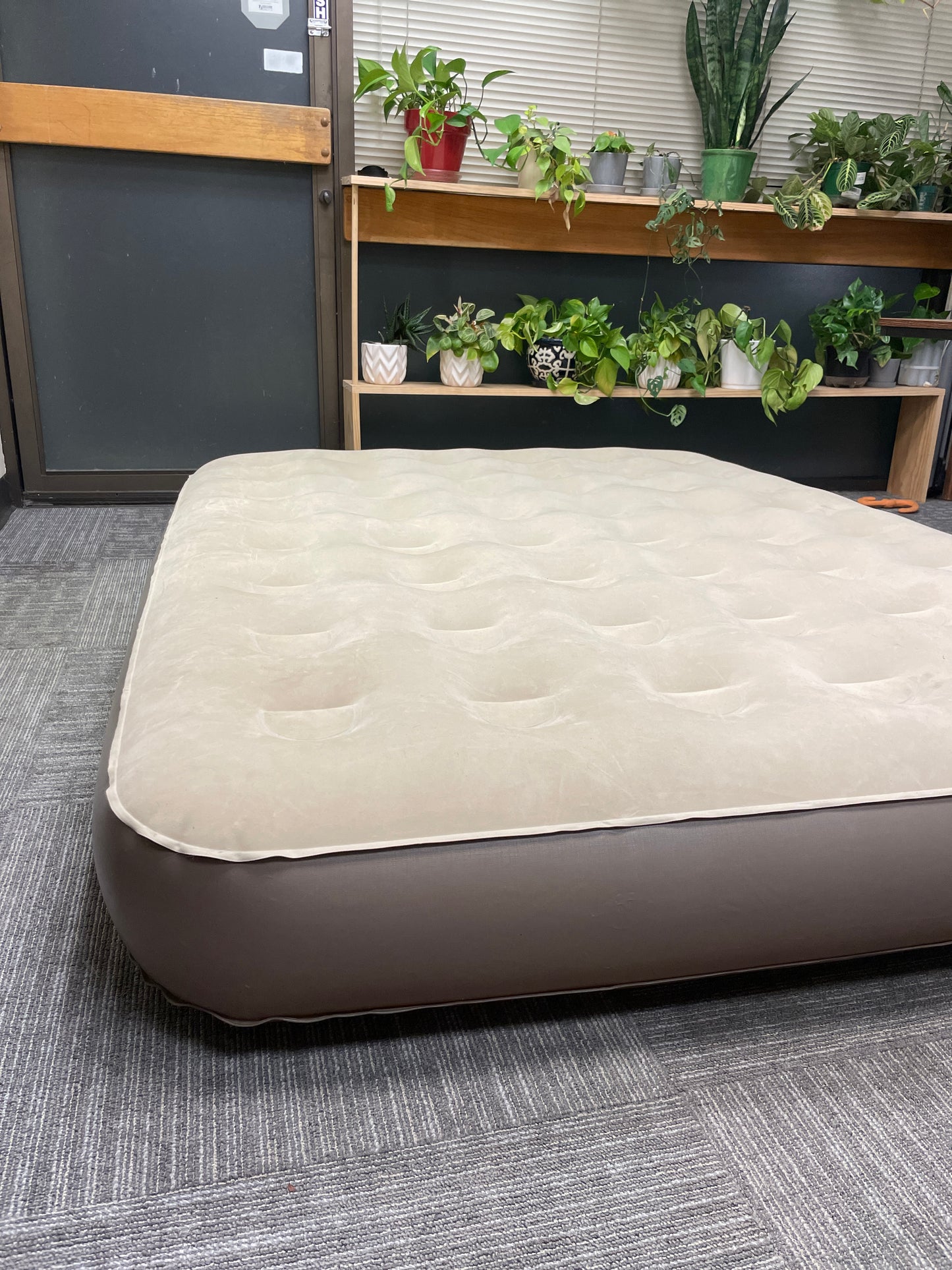 Coleman Queen Quickbed Elite Extra High Airbed - Retail $59 Default Title