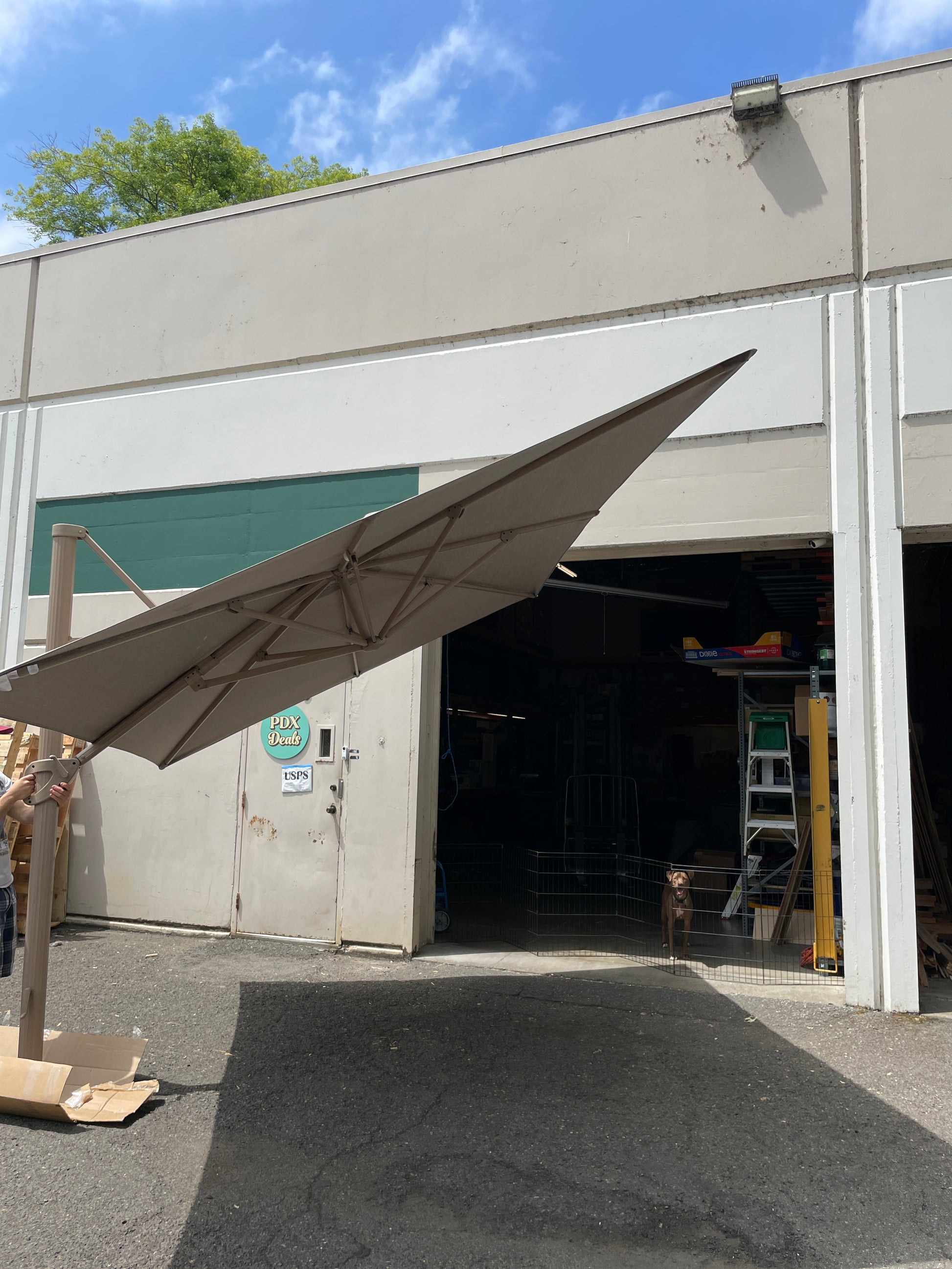 Costco - 10' x 13' Wood-Look Seasons Sentry Cantilever Umbrella - Retail $699 Default Title