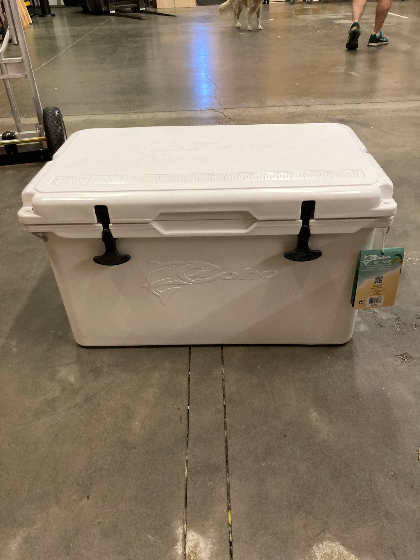 Costco COHO 55 Quart Rotomolded Cooler - Retail $139 Default Title