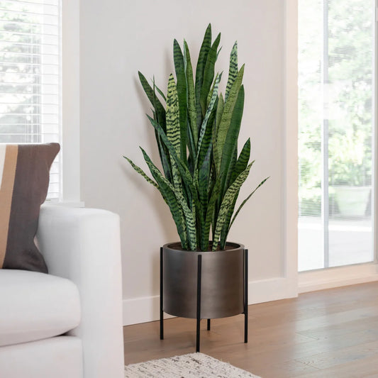 53” Faux Snake Plant with Stand - Retail $179