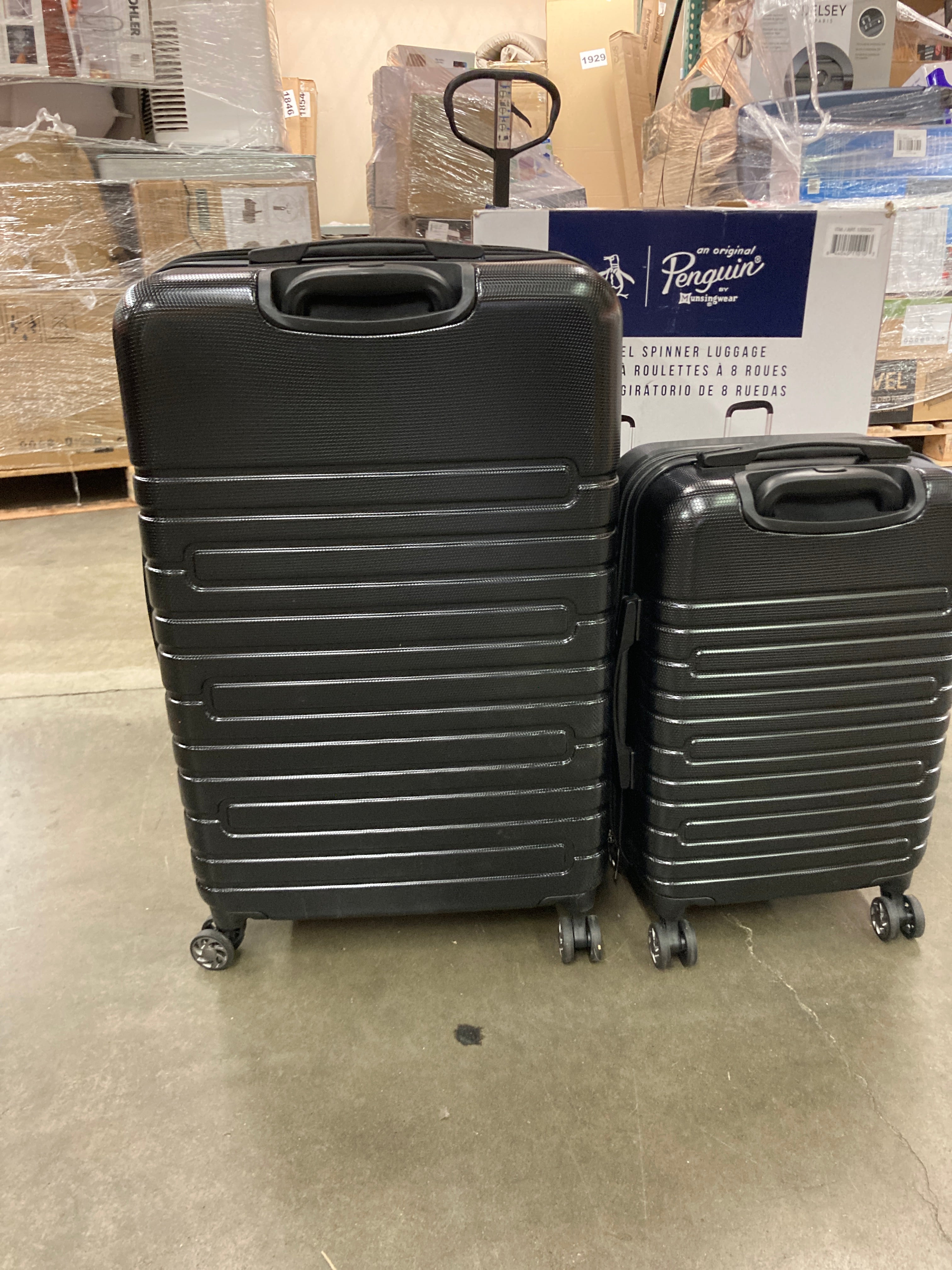 Antler 3 piece luggage set costco online