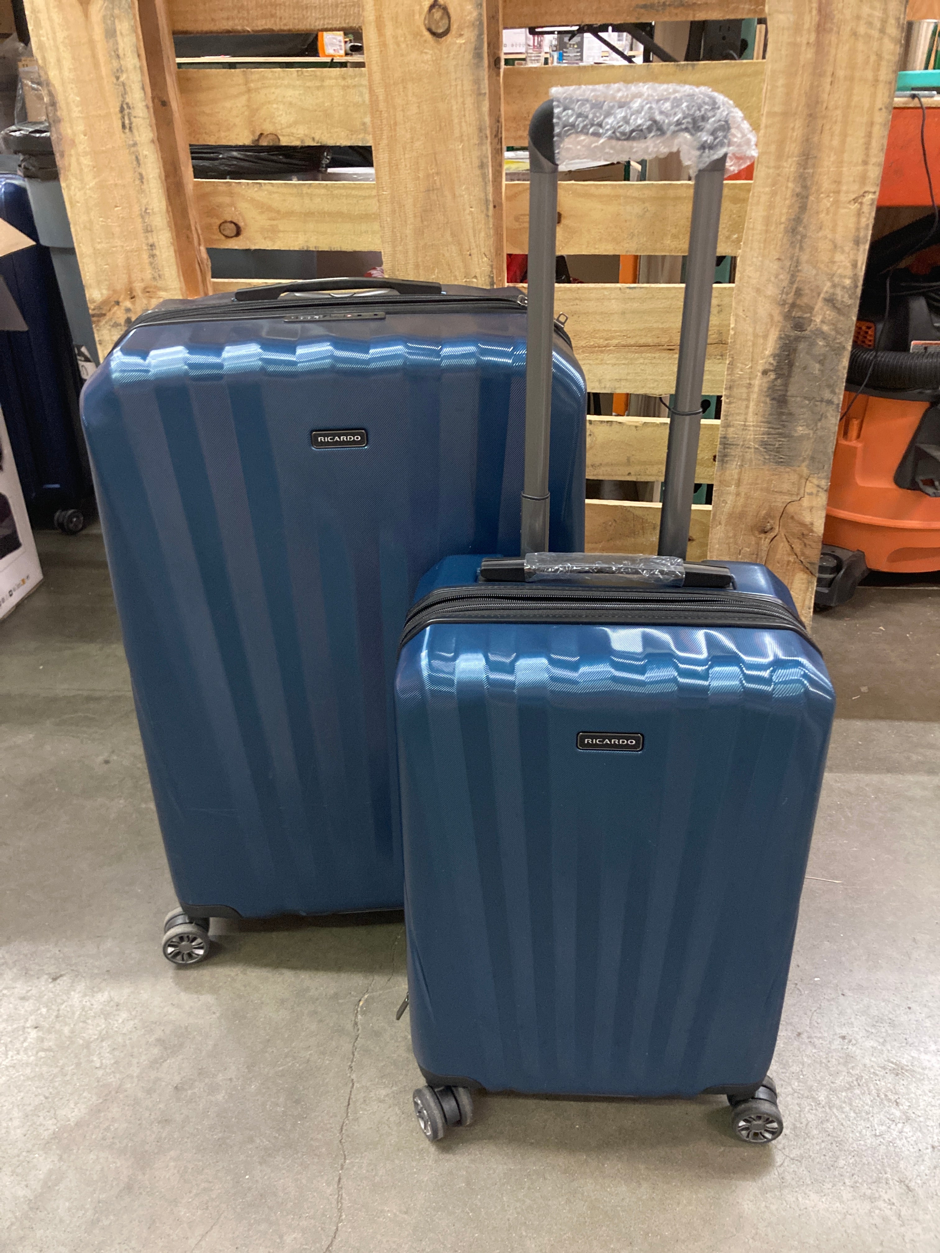 Costco ricardo luggage set online