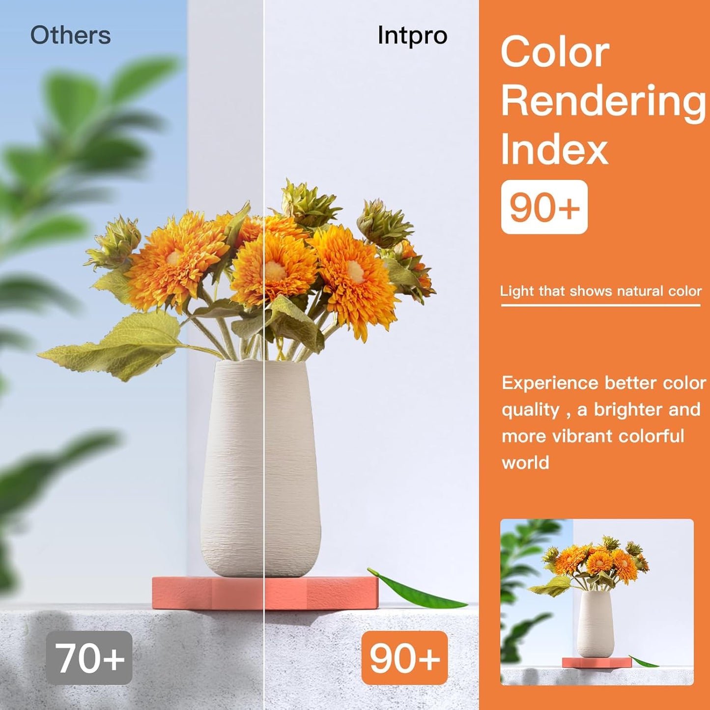 Intpro LED Corn Light Bulb LED Bulb 150W Equivalent 2000 Lumen 5000K E26/E27 Base Non-dimmable Ceiling Fan Corn Lighting for Home Garage Warehouse Indoor LED Corn Bulbs 6 Pack