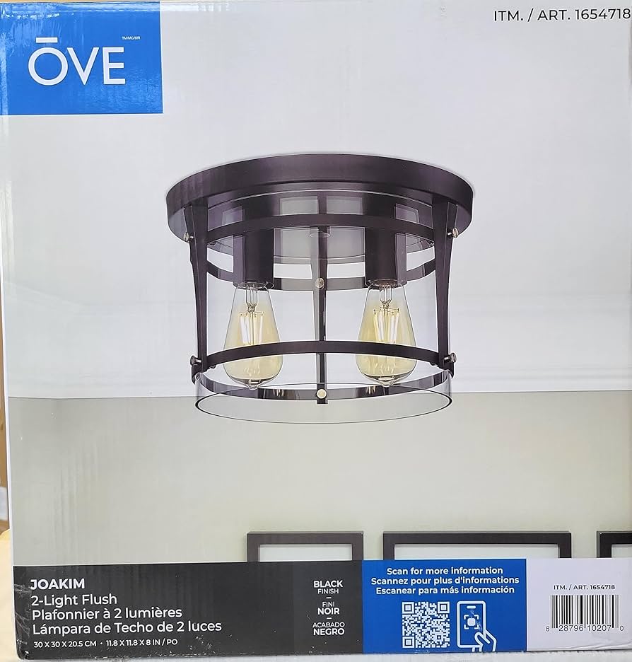 Joakim 2-Light Flush Mount Ceiling Light  - Retail $99