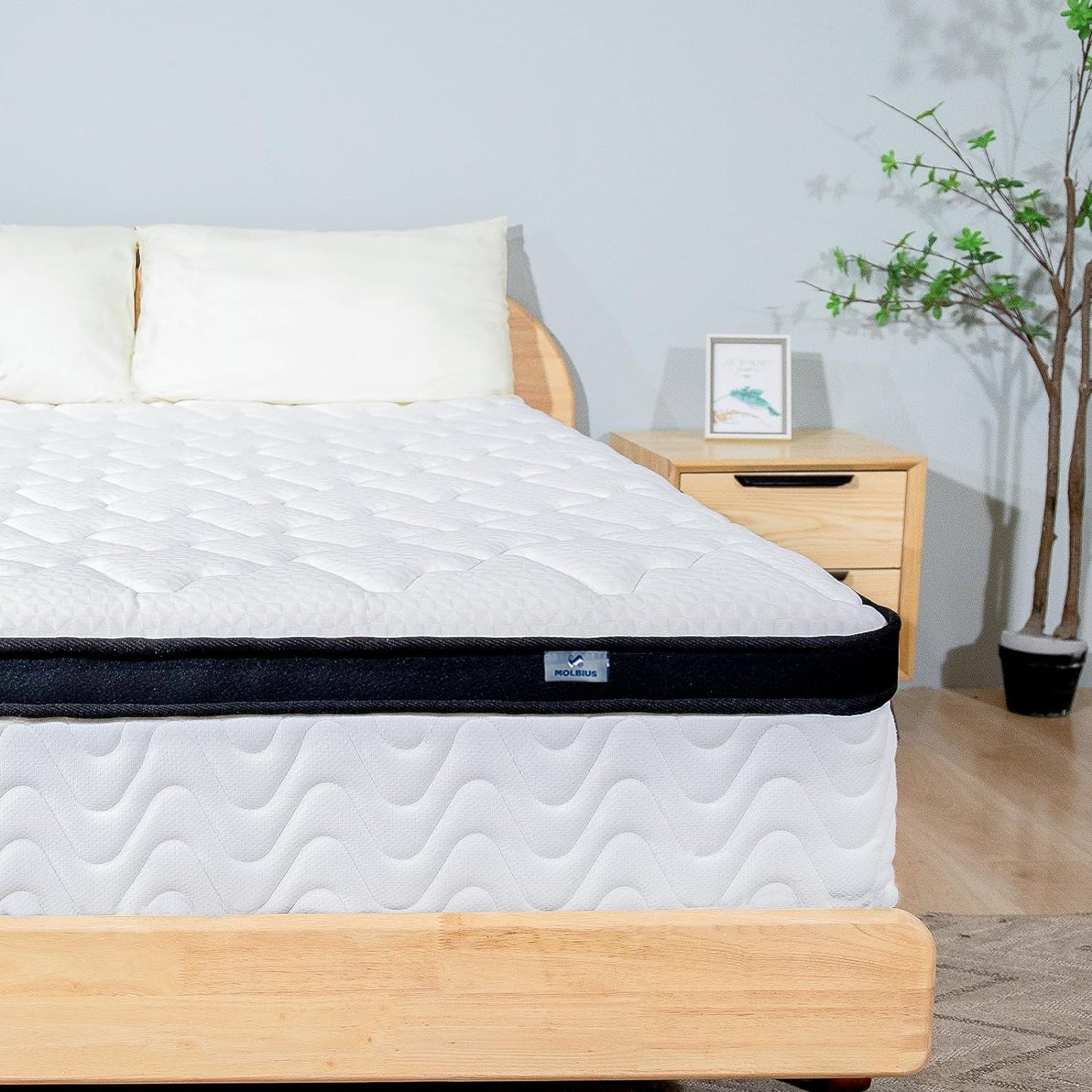 NEW - MOLBIUS QUEEN Mattress | 12 Inch Queen Size Hybrid Mattresses in a Box | Medium Firm Memory Foam and Individual Pocket Springs | Fiberglass Free Bed Mattress | Breathable | CertiPUR-US - Retail $229