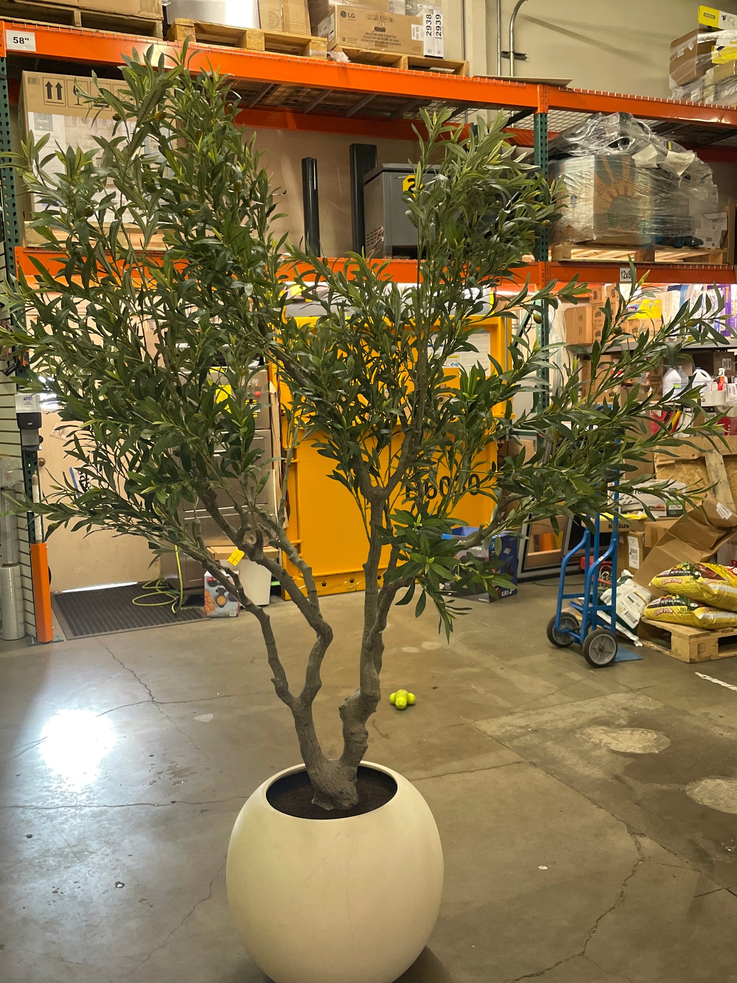 Like NEW - Costco - Faux 8’ Olive Tree - Retail $499