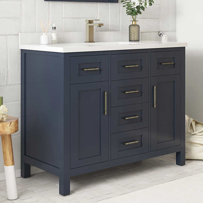 NEW - Costco - OVE Decors Lakeview 42" Bath Vanity in Blue - Retail $1099