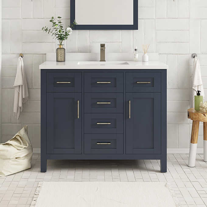 NEW - Costco - OVE Decors Lakeview 42" Bath Vanity in Blue - Retail $1099