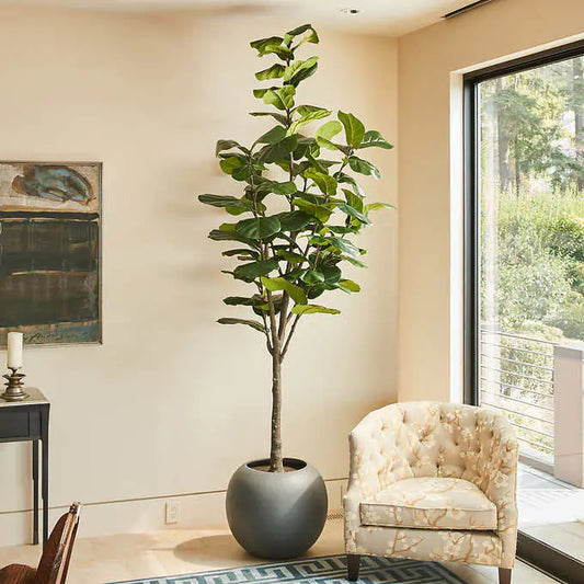 Costco - Artificial 3.05 m (10 ft.) Fiddle Leaf Fig Tree with Planter - Retail $379