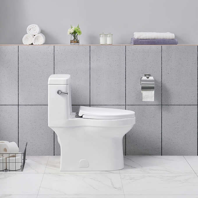 NEW - Costco - OVE Decors Sabine One Piece Toilet - Retail $449