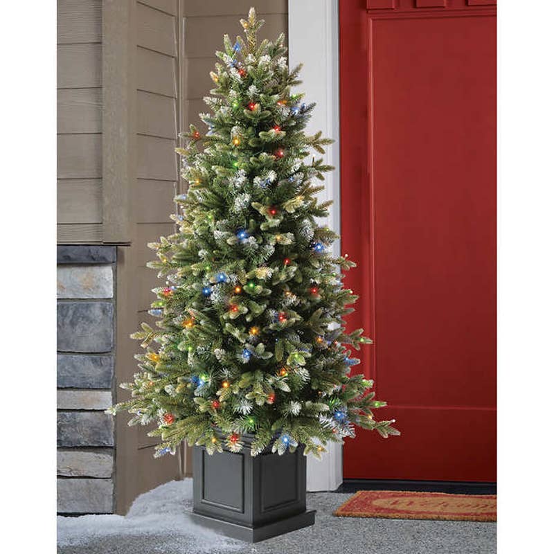 Costco - 4.5 ft Pre-Lit Potted Aspen Artificial Christmas Tree, Color- –  PDX Deals